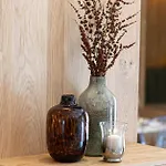 ホテル Bio & Wellness Zlaty Hyl