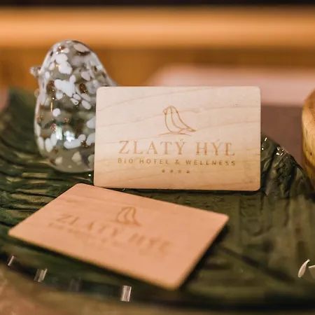 Bio & Wellness Zlaty Hyl ホテル *